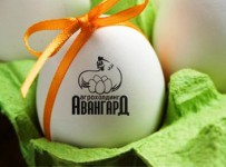 Украинская AvangardCo