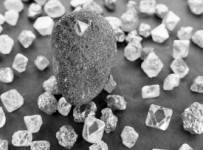 Суд приостановил банкротство алмазной фирмы, акционером которой является Никита Михалков