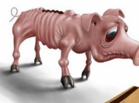 МФО «Рамфин» из группы Мособлбанка остановила выплаты