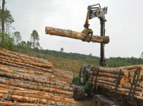 Расследование дела конкурсного управляющего "Кировлеса" завершено