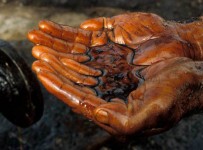 падение мировых цен на нефть больно ударило по энергокомпаниям и банкам Запада