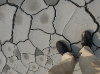 Арбитраж отказался взыскать 1,4 млрд рублей с бывших менеджеров WDB-Банка по иску АСВ