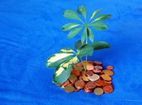 Воронежские налоговики вернули из офшоров 245 миллионов рублей