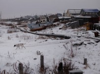 Вновь отложено дело о банкротстве Нарьян-Марского морского порта