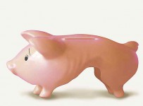 Отечественные компании банкротятся одна за другой