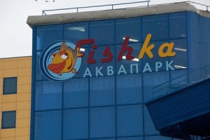 Обанкротившийся воронежский аквапарк Fishka могут продать всего за 67 млн рублей