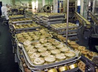 СМИ: запрет на импорт рыбной продукции в РФ приведет к банкротству предприятий Латвии