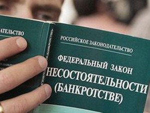 Банкротство граждан поделят между СОЮ и арбитражными судами