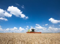 ФАС разрешила «Агрокомплексу» купить три хозяйства в Краснодарском крае