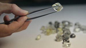 Суд признал банкротом алмазную фирму, связанную с Никитой Михалковым