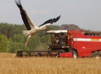 Депутаты Госдумы просят компенсировать затраты аграриев из-за засухи