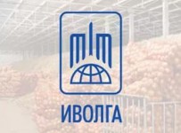 Иволга-Холдинг