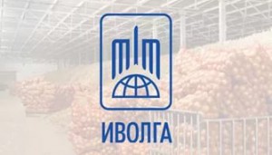 Иволга-Холдинг