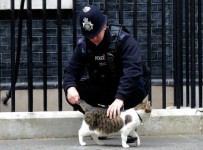 Один из грабителей депозитария в Лондоне показал полиции, где зарыта его доля