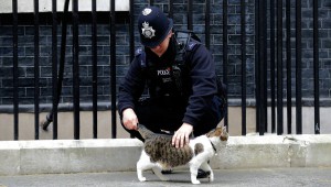 Один из грабителей депозитария в Лондоне показал полиции, где зарыта его доля