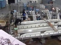 Крупнейший российский рыбопереработчик готовится к банкротству