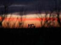 В Citi назвали срок достижения нефтью дна