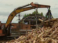 Мосгосуд проверит законность взыскания с фигурантов "Кировлеса" 16 миллионов