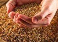 Арбитраж завершил конкурсное производство на белгородском крупном торговце зерном «Агро-Трейд»