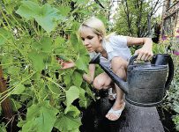 Чем аукнется дачная реформа простому садоводу