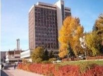 Волжский дизель имени Маминых