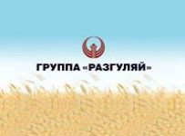 Разгуляй