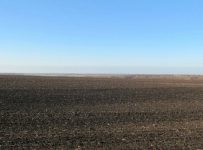 Голландский банк запустил процедуру банкротства активов «Иволга-холдинга» в Челябинской области