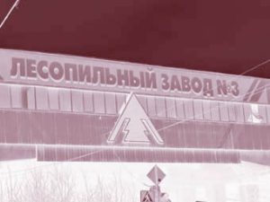 Умышленное банкротство Лесозавода