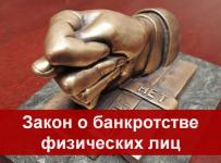 процедуру банкротства физлиц могут упростить до конца 2017 года