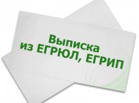 выписка из егрюл
