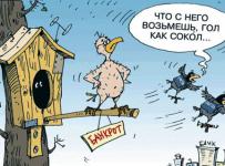 гол как сокол