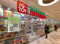iq toy
