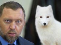 США заморозили активы Дерипаски