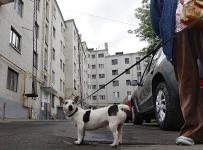 долгами граждан за услуги ЖКХ займутся специалисты