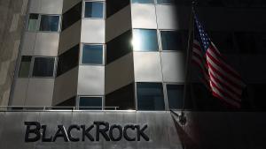 BlackRock Investment Institute