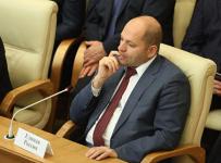 Депутат Илья Гаффнер
