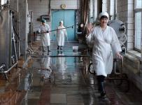 Останкинский молочный комбинат