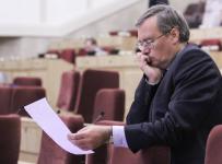 Сибмост Владислава Кошкина