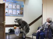 В Минтруде рассказали об условиях досрочного выхода на пенсию