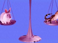 Субсидиарная ответственность