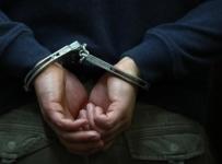 Экс-сотрудник МВД оценил работу полиции по задержанию банкиров