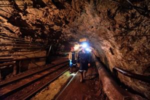 Власти Кузбасса отказались выплатить долги по зарплате шахтерам