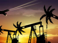 Туроператор: нас приняли за нефтяников!