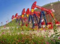 китайские нефтяные компании