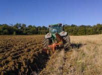 Банкротство агрофирмы