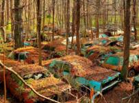 Гниющие миллионы: 6 загадочных автомобильных кладбищ :: Autonews