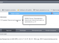 Многомиллионные долги: ФНС требует банкротства «Камчатского водоканала»