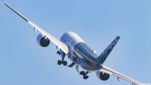 Эксперты подсчитали, сколько авиакомпаний обанкротились в этом году