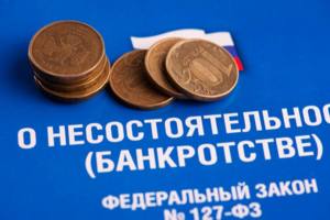 Волна банкротств физических лиц может ждать Россию в ближайшей перспективе