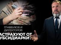 Главбухов и директоров застрахуют от субсидиарки?